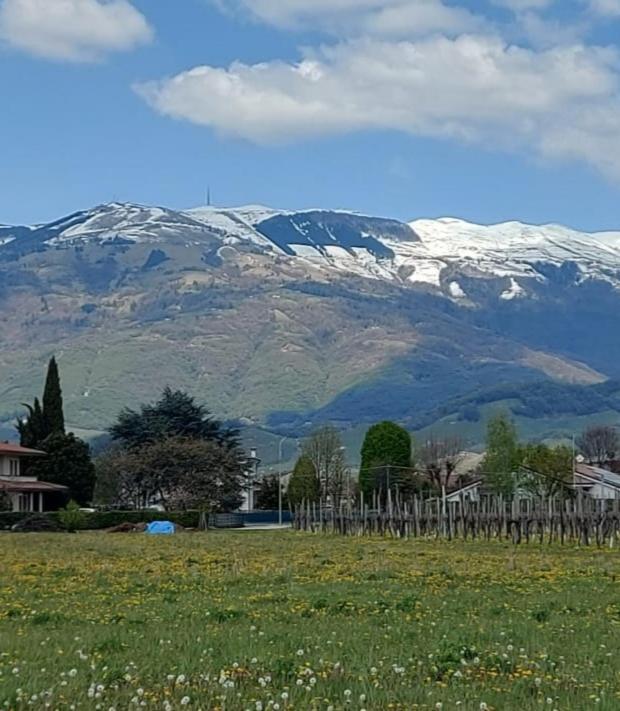 Vidor Locazione Turistica El Sghirlo酒店 外观 照片